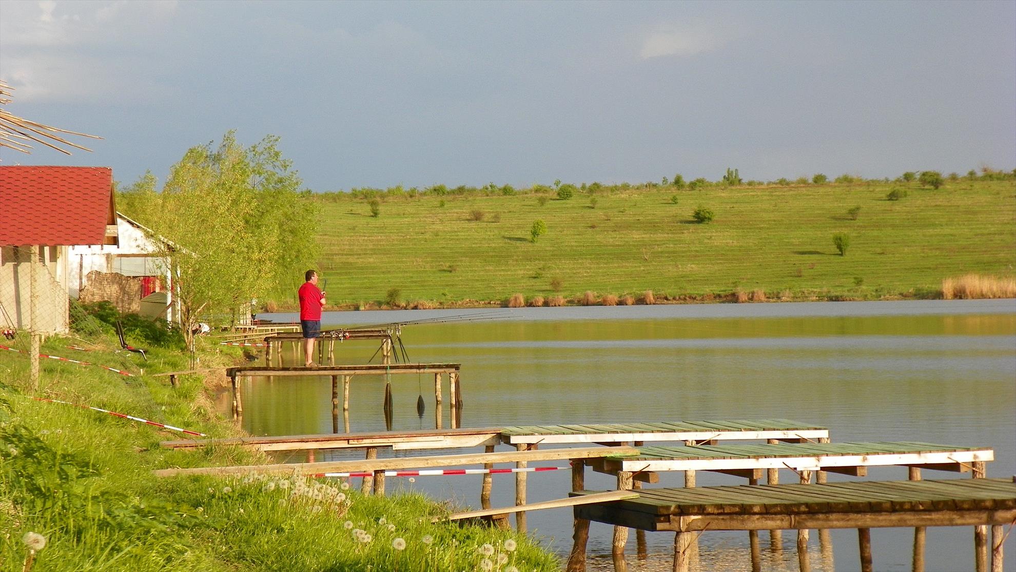 Party Cup 2011 (2)  - 1000171.JPG